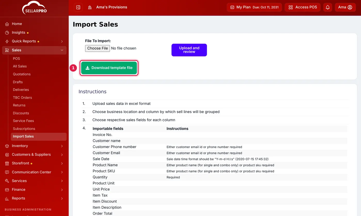 The Import Sales page with the Download template file button outlined