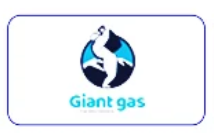 Giant Gas